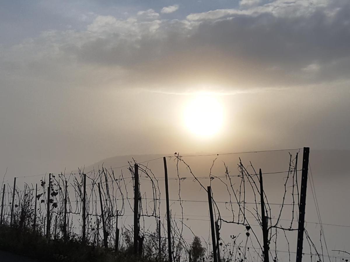 Winzerhof Gietzen Ξενοδοχείο Hatzenport Εξωτερικό φωτογραφία